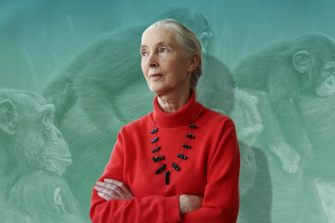 Jane Goodall: The Inspiring Life and Legacy of a Chimpanzee Guardian