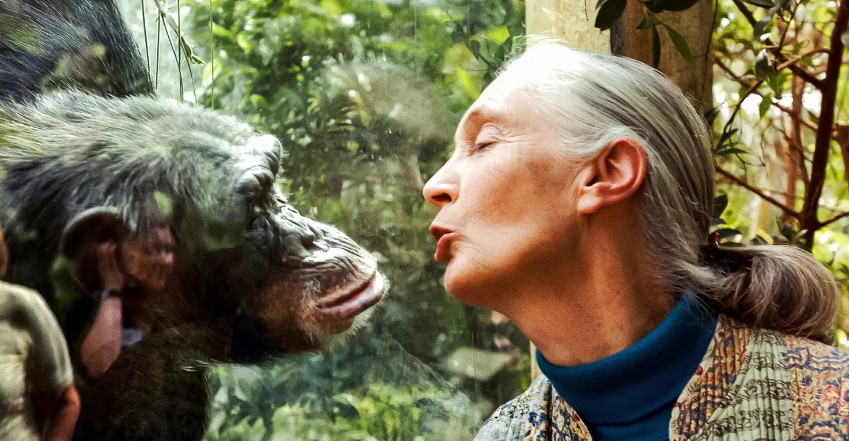 Jane Goodall: The Inspiring Life and Legacy of a Chimpanzee Guardian