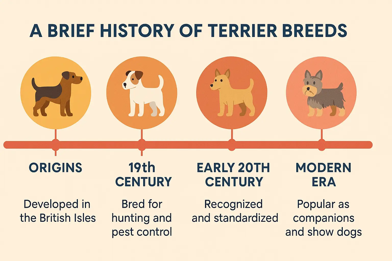 Terrier Breeds: A Beginner-Friendly Guide to Energetic, Loyal, and Playful Dogs