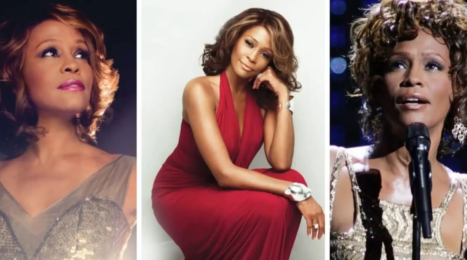 Who Was Whitney Houston Before Hollywood