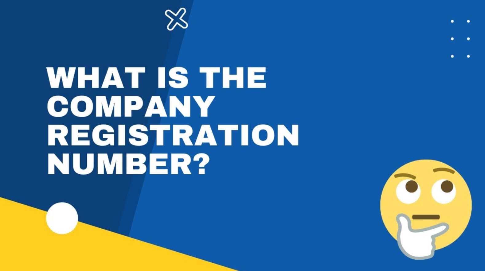 Company Registration Number