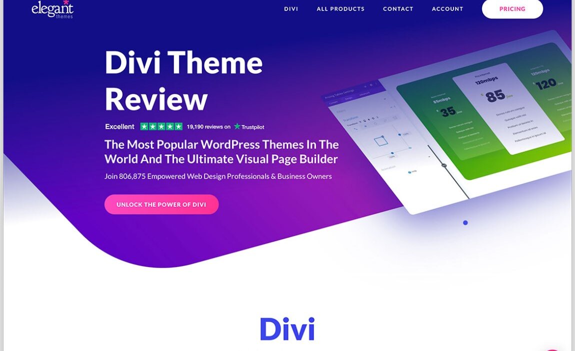 Divi Wordpress Theme