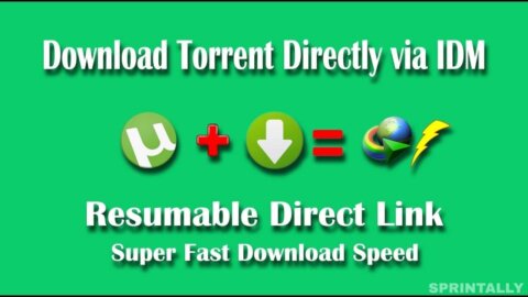 torrent url to direct url