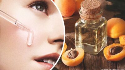 Apricot oil