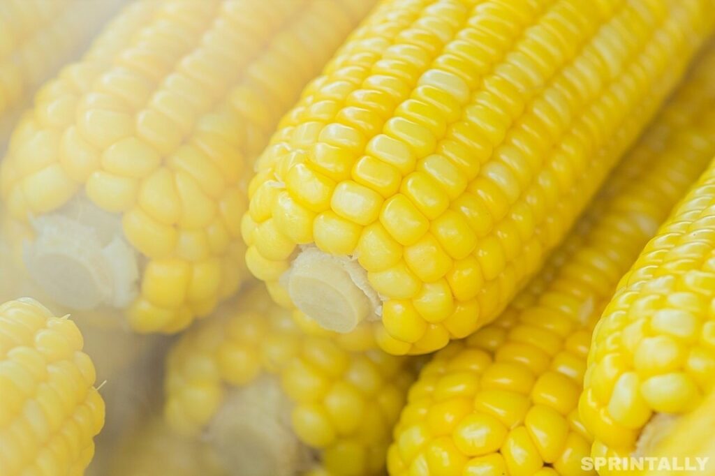 corn