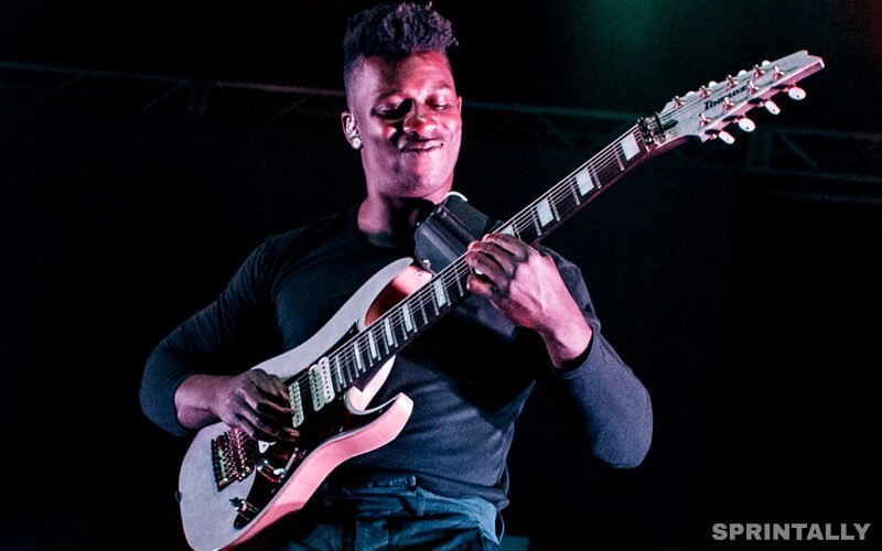 Animals as leaders