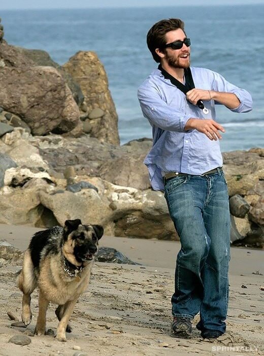 Jake Gyllenhaal and Atticus