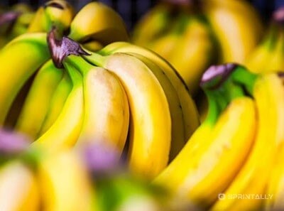 Useful properties of banana