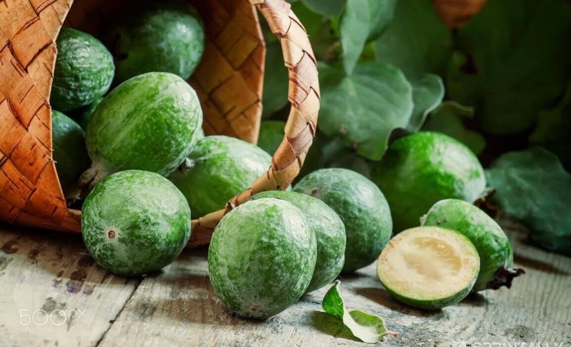 benefits of Feijoa