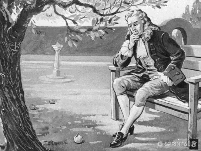 Newton discovered the law of gravity through the Apple that fell on his head