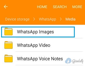 Whatsapp Images Folder