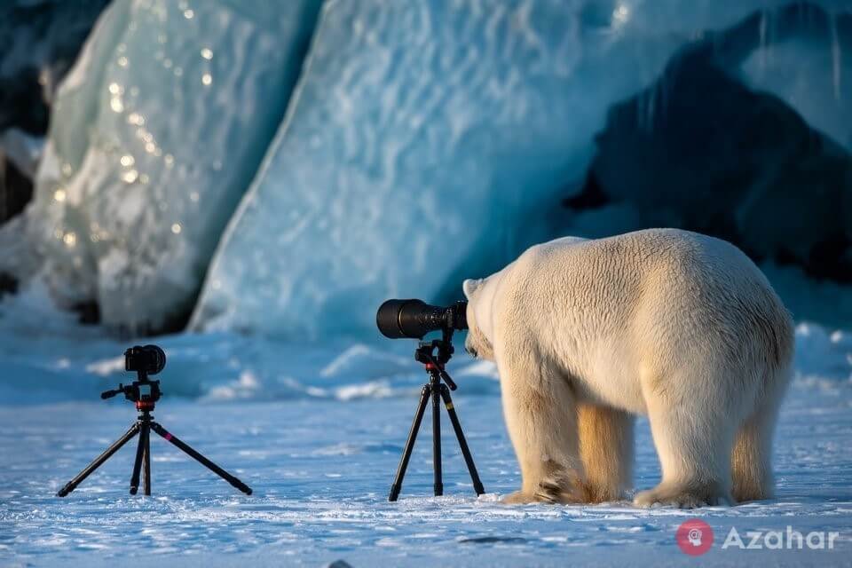 Wildlife photographer