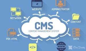 What is CMS? what is it for? what are CMS?