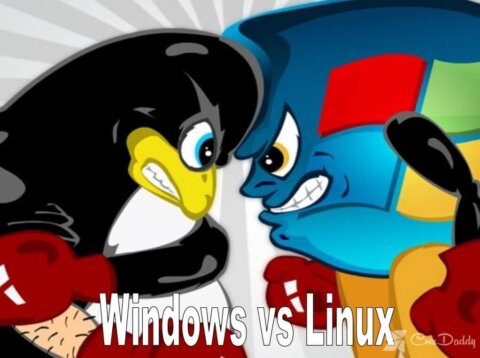 Windows or Linux