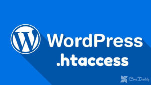 .HTACCESS for WordPress – correct file setup