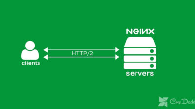 Nginx