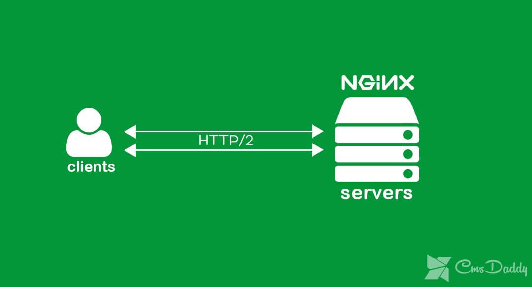 Nginx