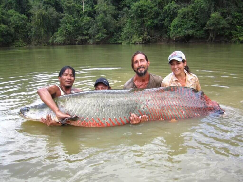 Largest Freshwater Fish