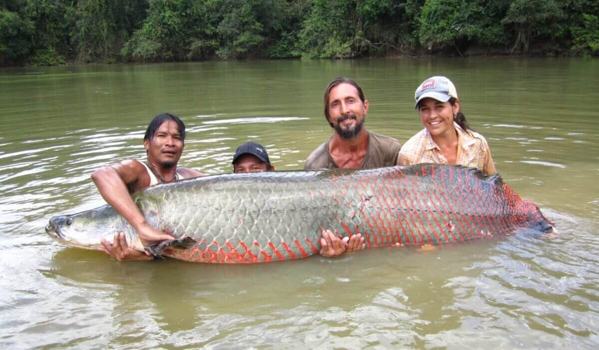 Largest Freshwater Fish