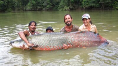 Largest Freshwater Fish