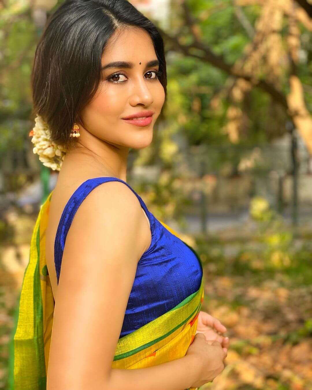 Model Nabha Natesh
