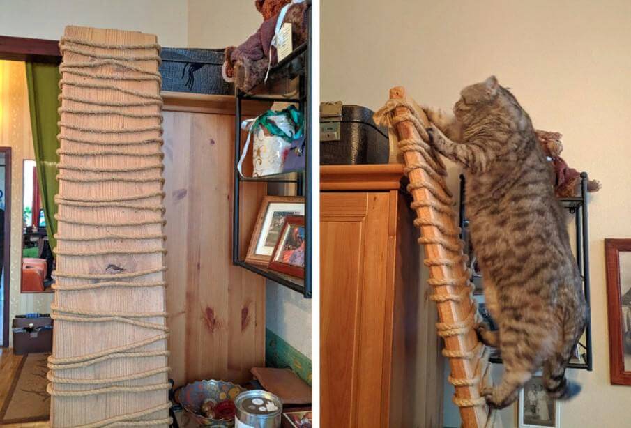 How To Make A Ladder For Your Pet
