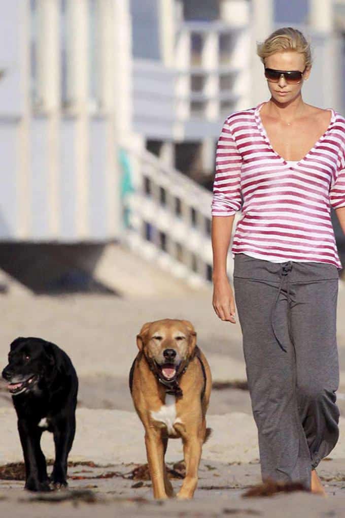 Charlize Theron's Pit Bull