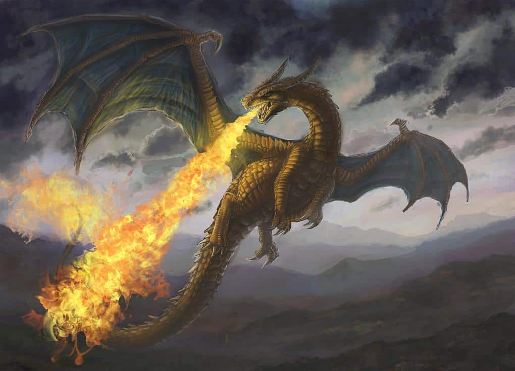 European Dragon (Draco Occidentalis Magnus)