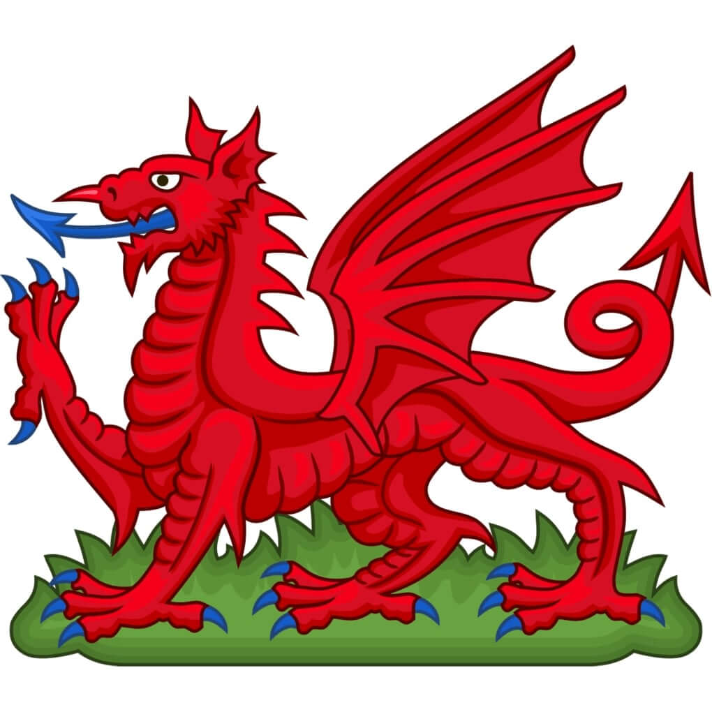 The Heraldic Dragon (Draco Geraldis)