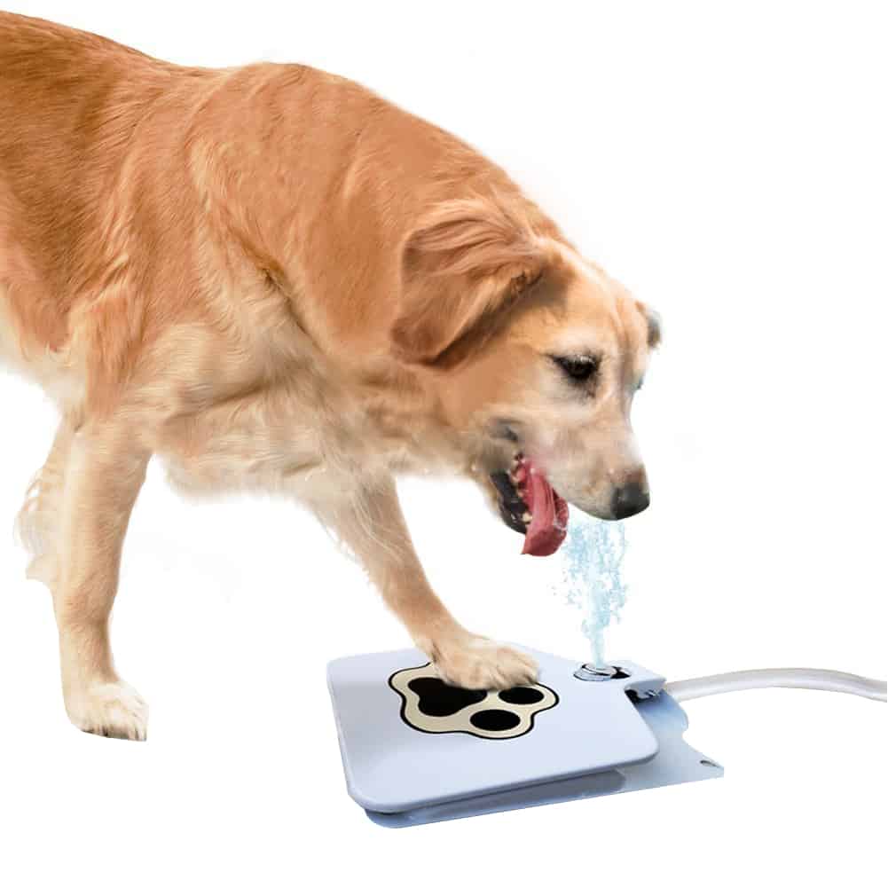 Drinker Pedal For Dogs