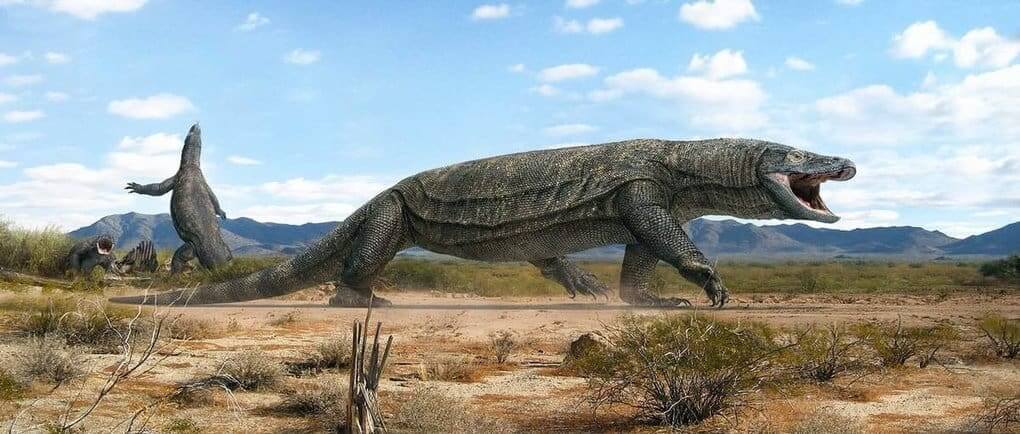 Prehistoric Monitor Lizard Ninki Nanka