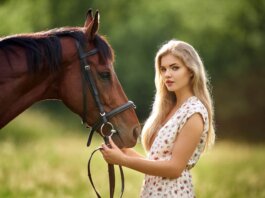most expensive horse breeds