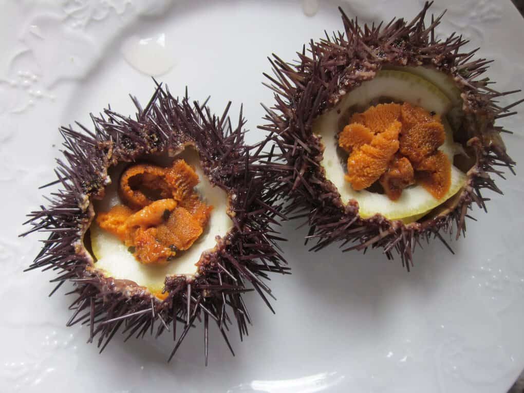 Sea Urchin Caviar